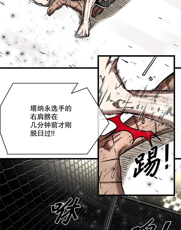 346.TKO胜利14