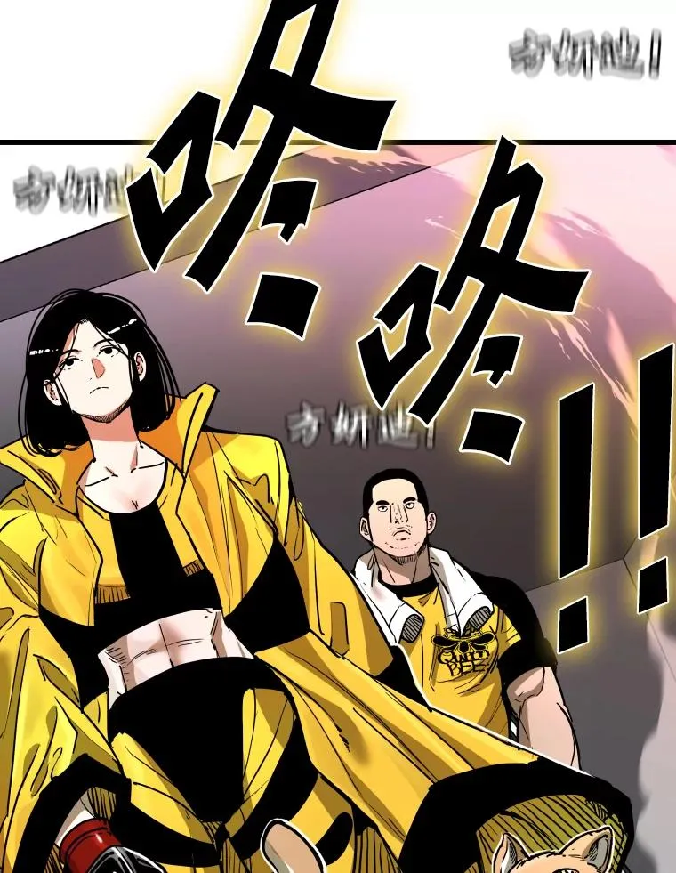 338.天敌19