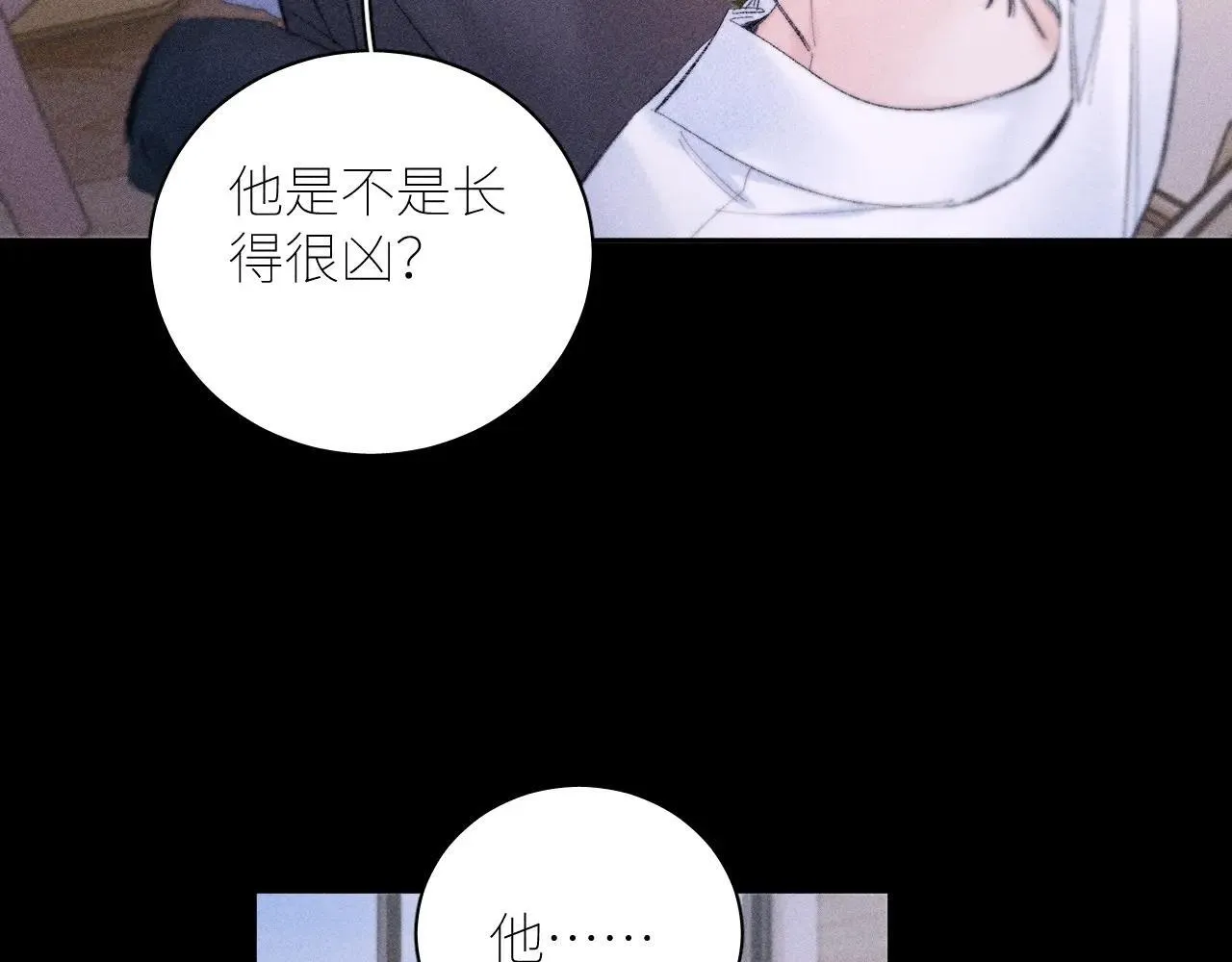 第49话 像极光101