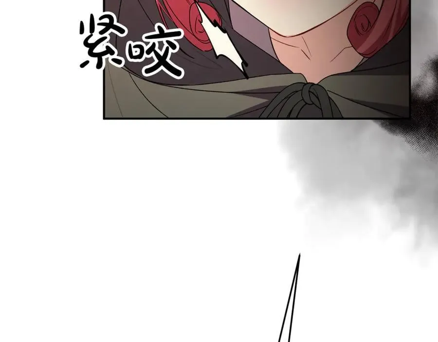 第118 猎狐行动177