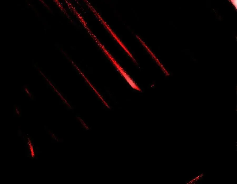 30-优势？劣势？（上）178