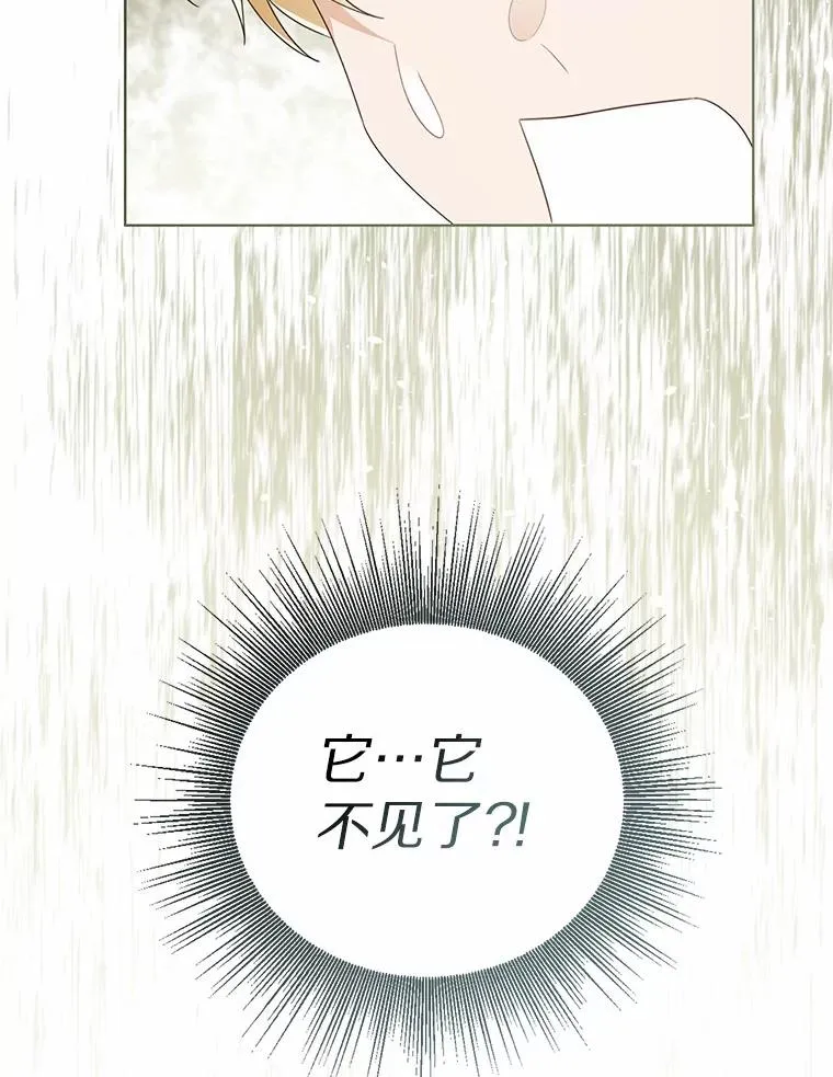 106.消失的它49