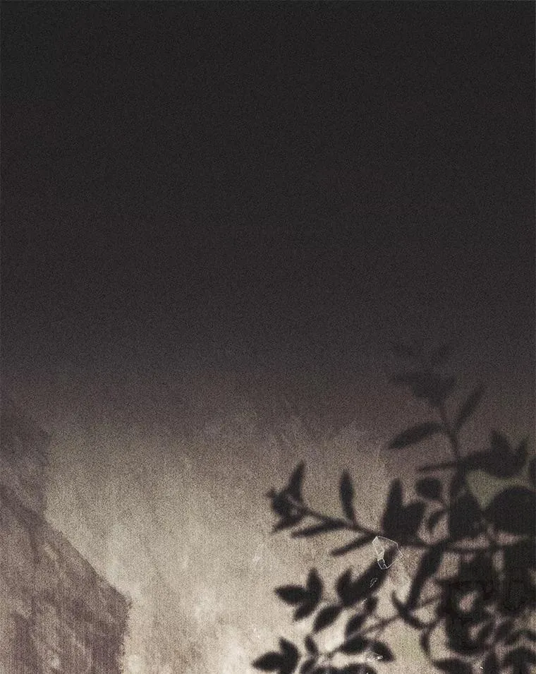 66.太像了14