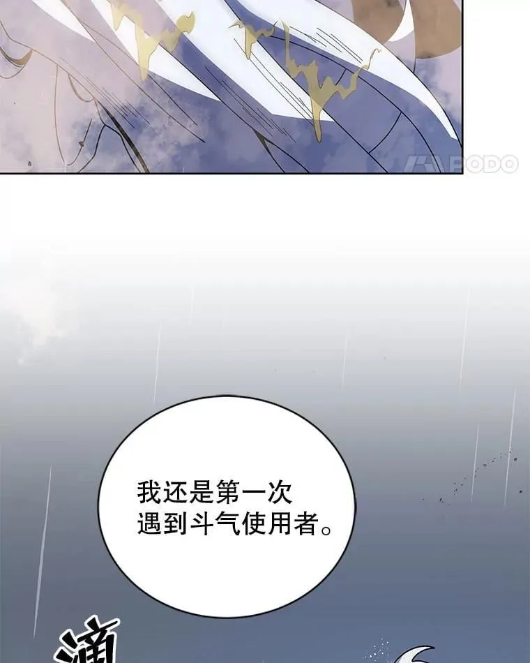 93.斗气使用者61
