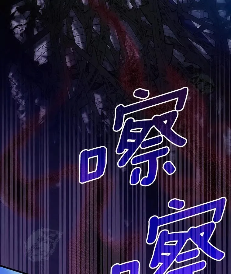 114.种子121