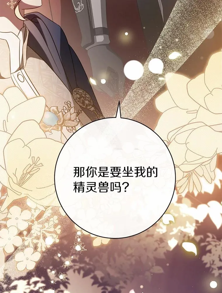 104.召唤大精灵21