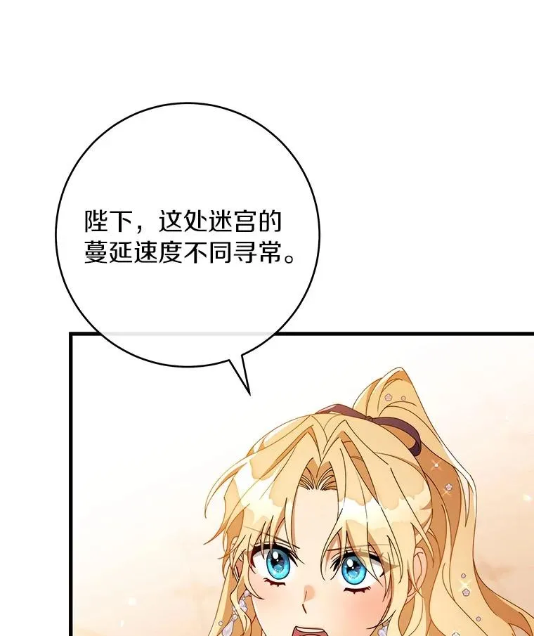 115.一天的期限54