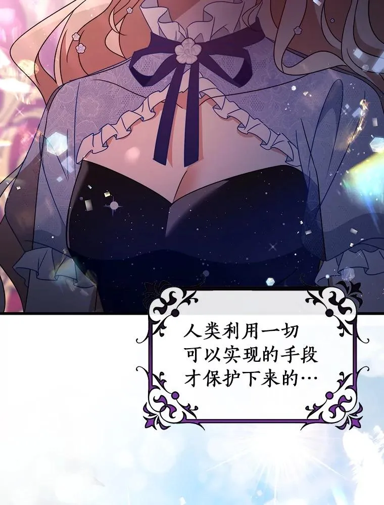 114.种子125