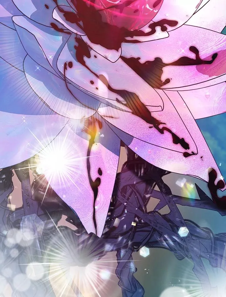 114.种子127