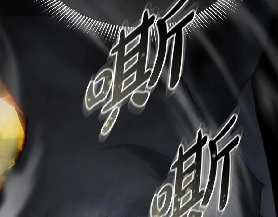 第78话 主人的希望206