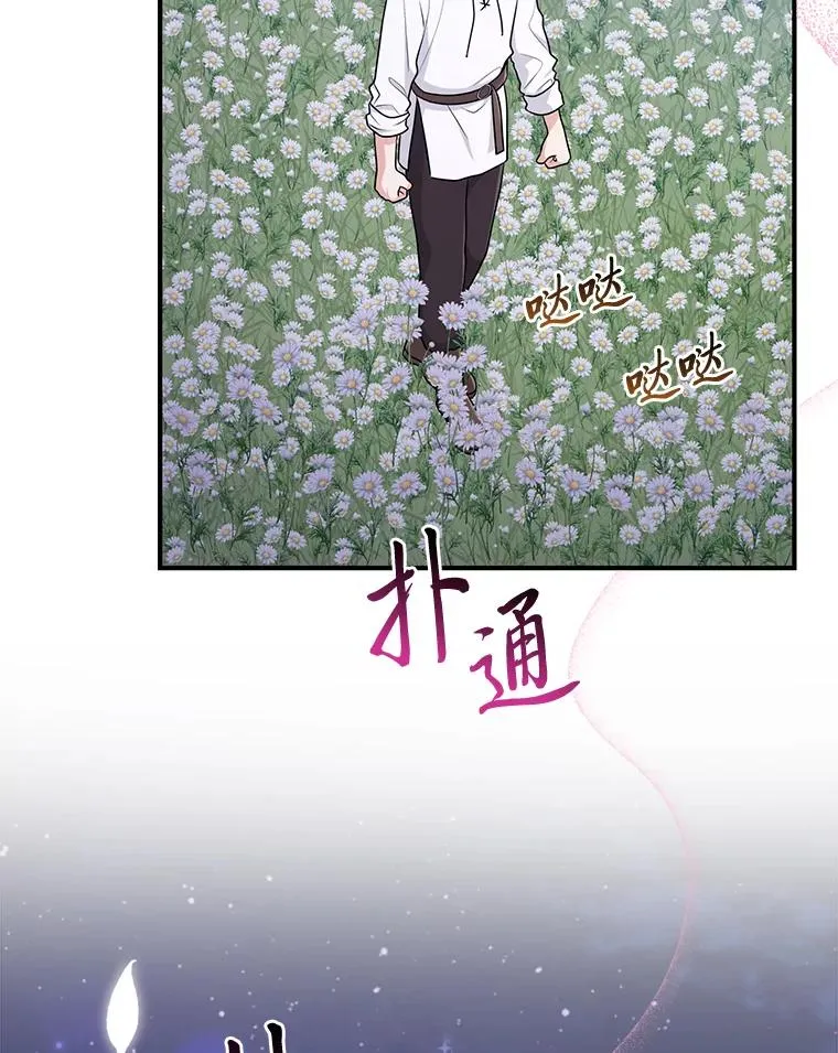 75.在花田相遇39