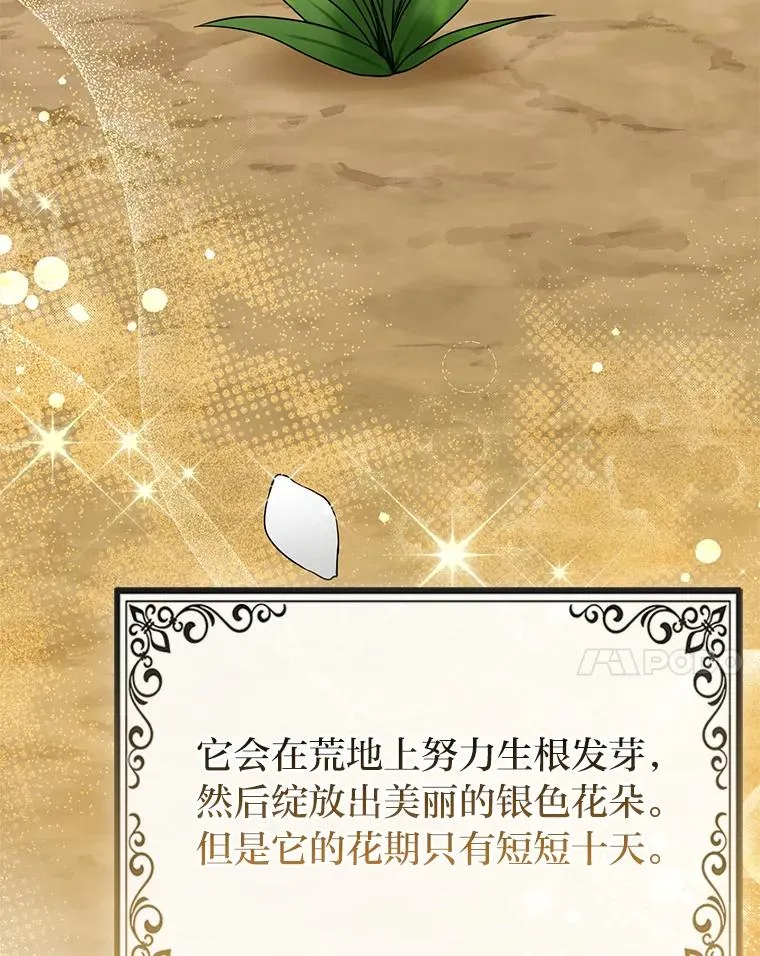 69.薇欧拉的理由123