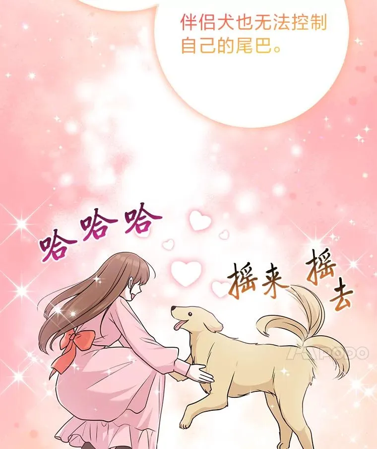 75.在花田相遇74