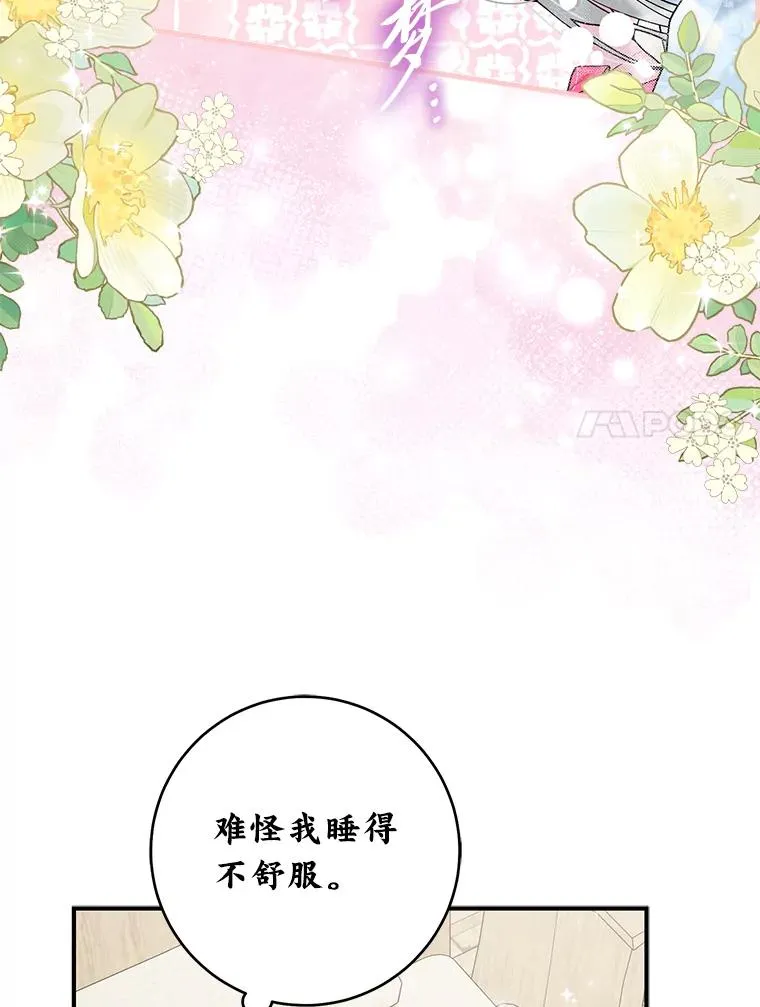 68.花花公子谢尔芬6