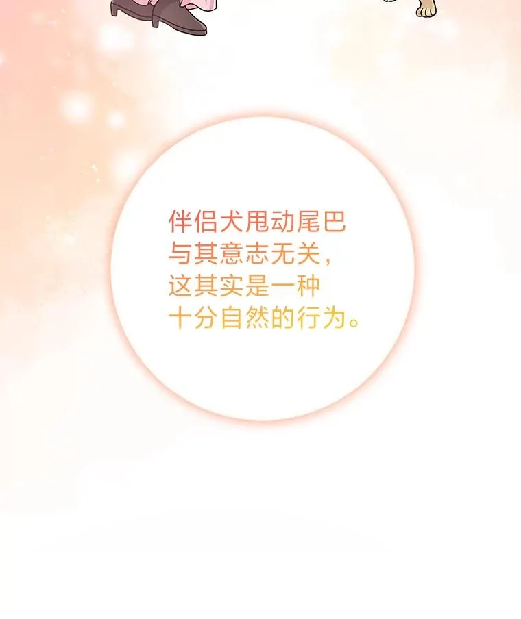 75.在花田相遇75