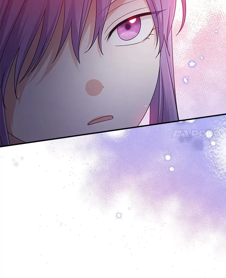 69.薇欧拉的理由51