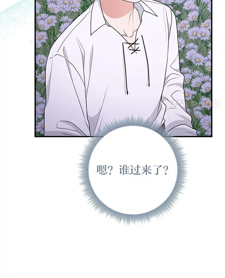 75.在花田相遇34