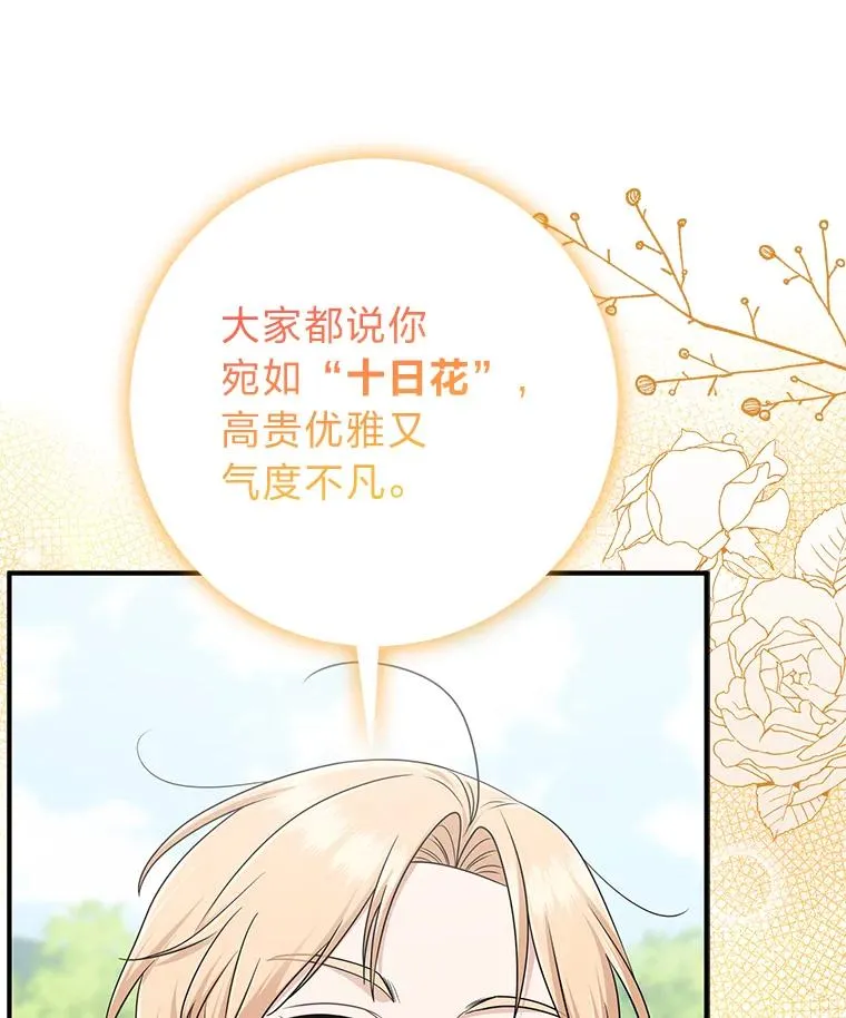 69.薇欧拉的理由115