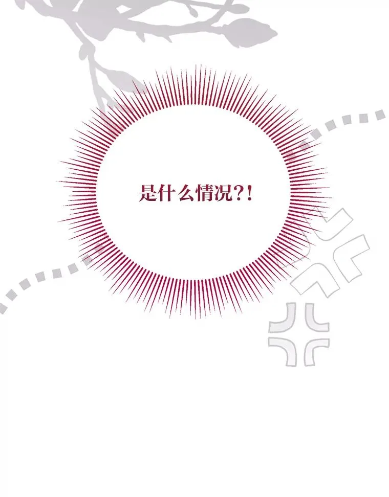80.两虎相争101