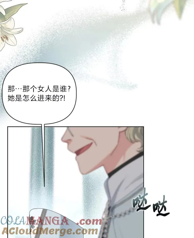 85.再次点燃的火焰48