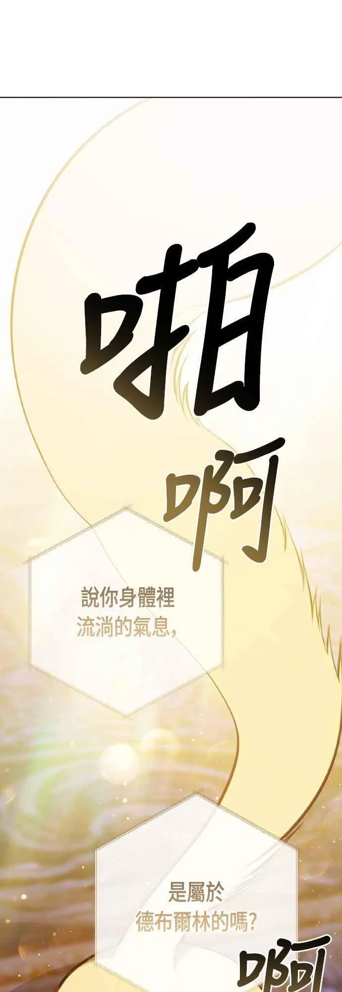 第85话 艾依丹的愿望74