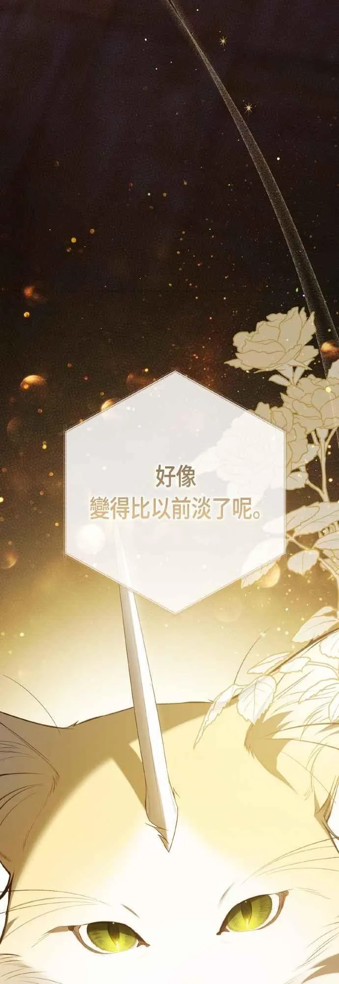 第85话 艾依丹的愿望76