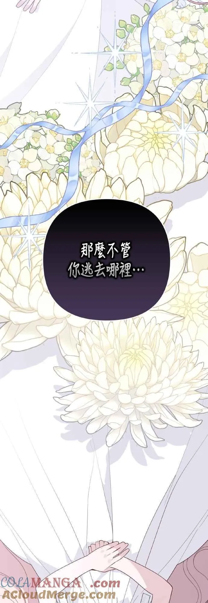第85话 艾依丹的愿望12