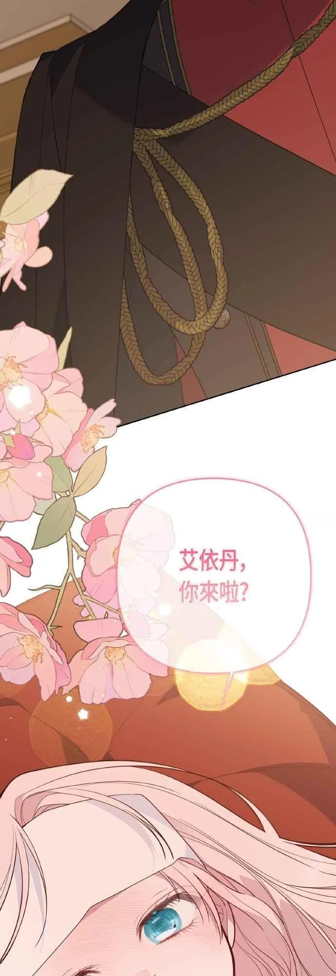 第85话 艾依丹的愿望19