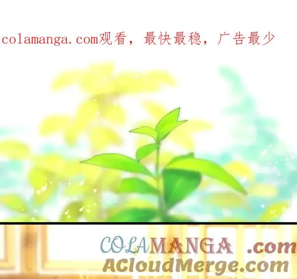 第120话 完美的生日0