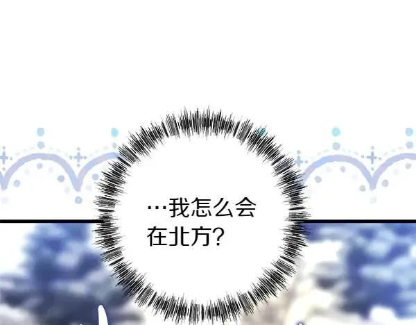 第116话 偷偷处置41