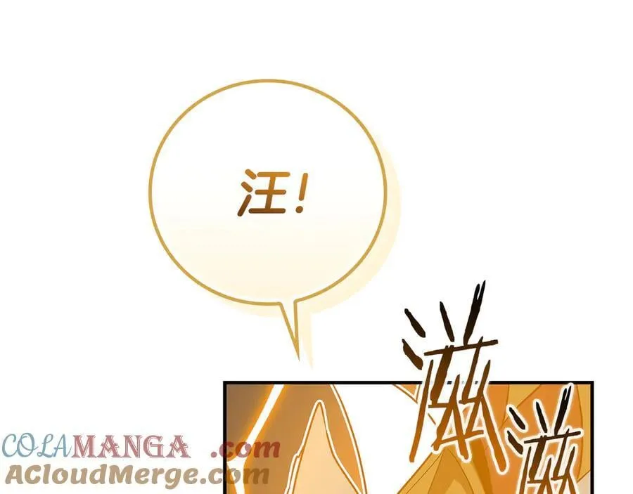 第98话 新篇章 沙漠之旅开启212