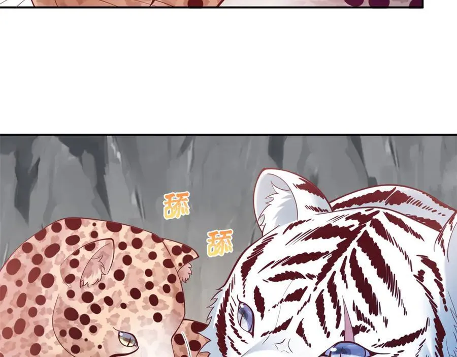 64817