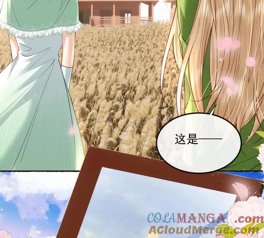 天选女主48