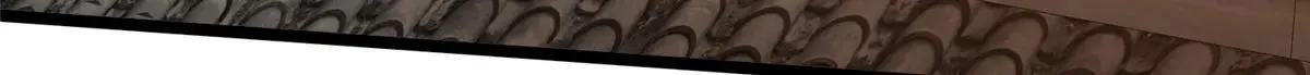 222 家主12