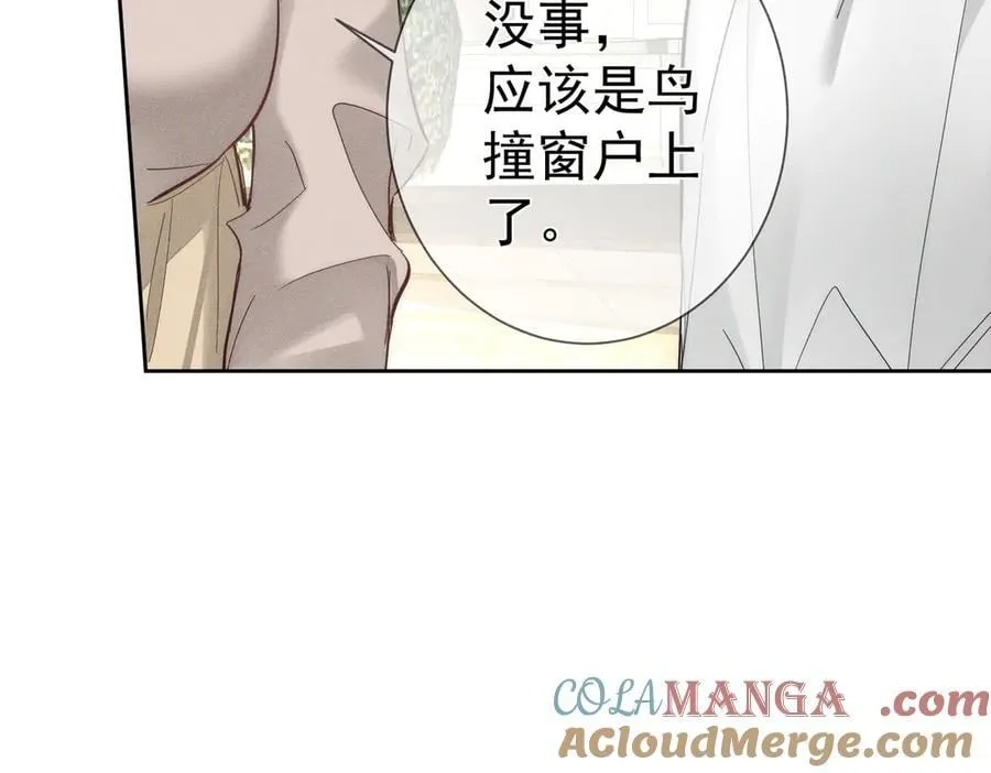 第199话：笨小鸟63