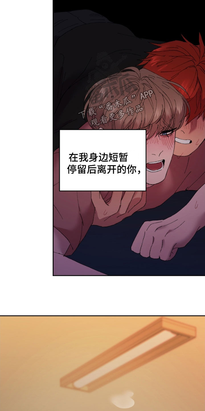 第49章：明天更美好15