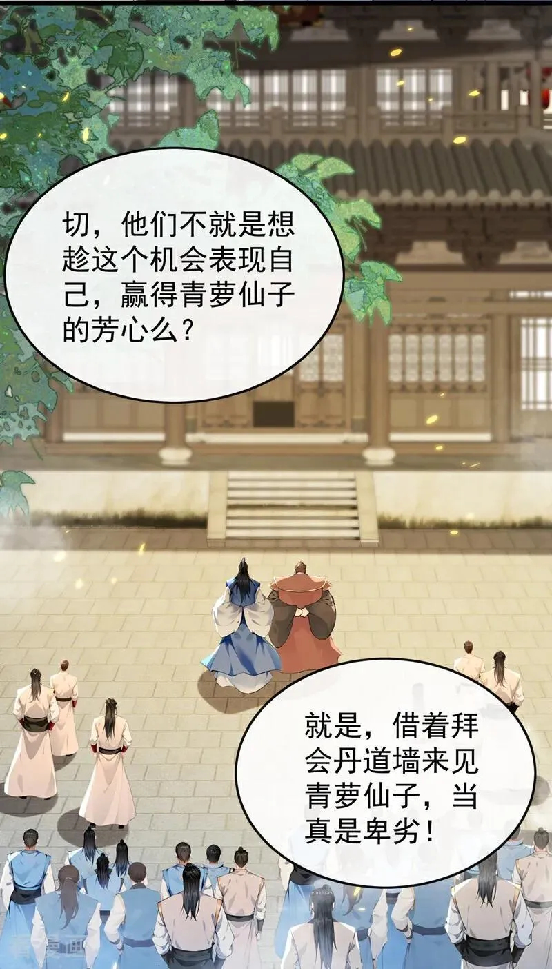 第390话 丹道墙为何物？3