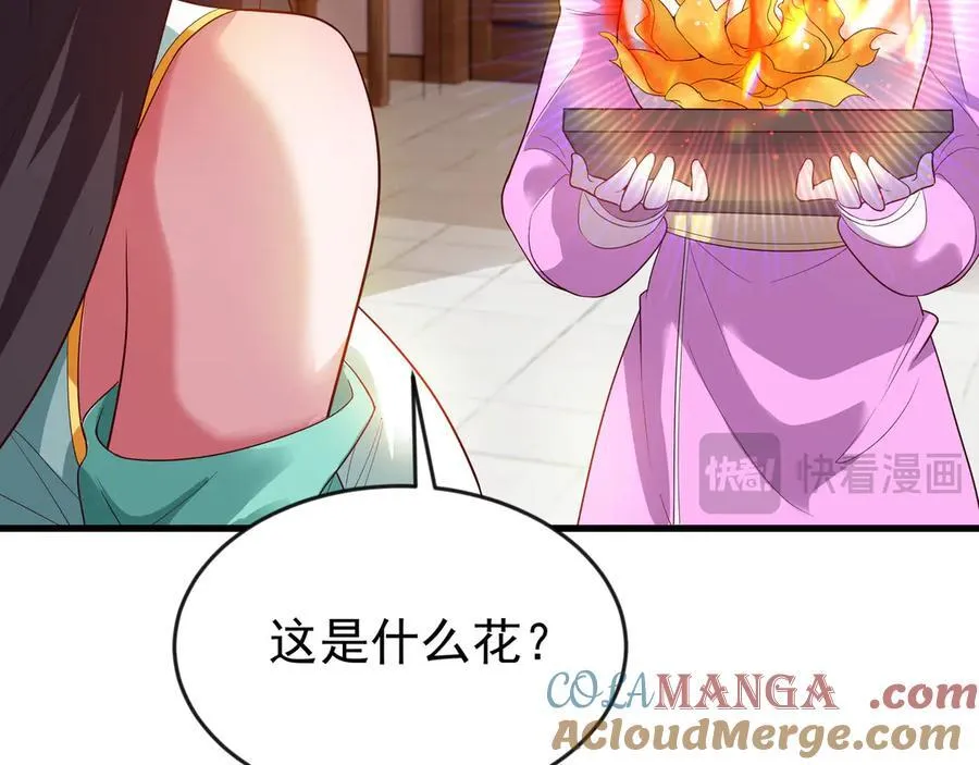 87 价值上亿的灵药69