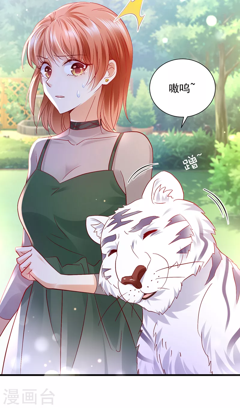 第711话 和我一起养大猫吧？9