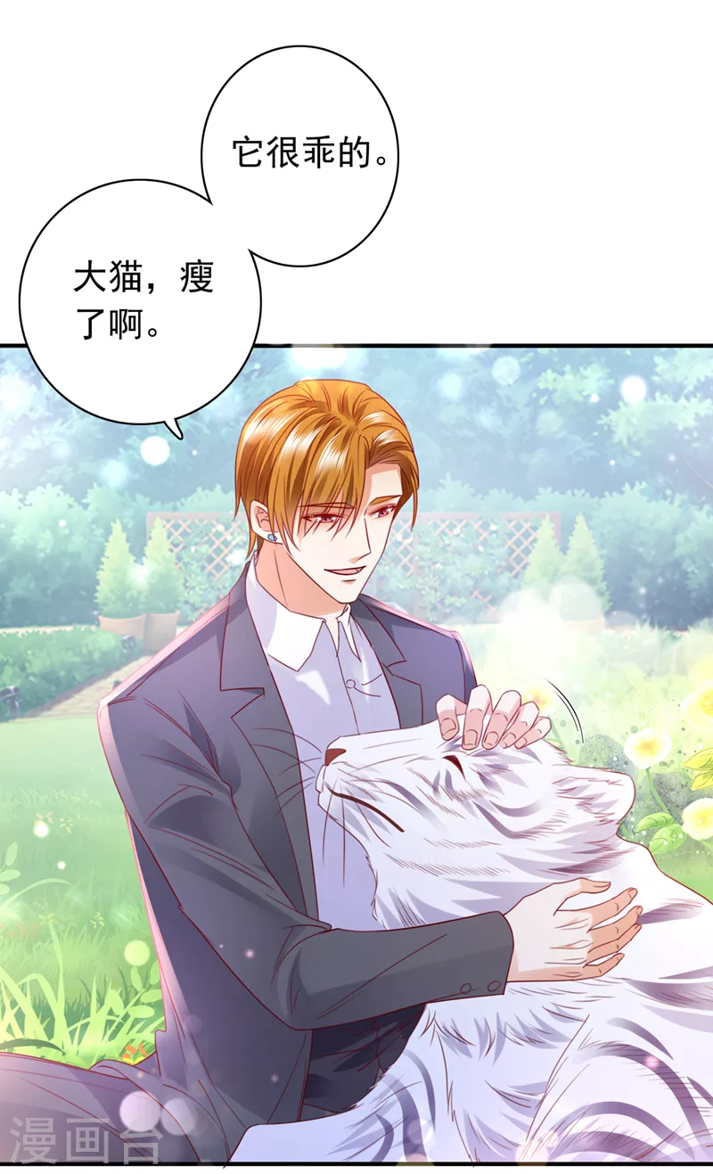 第711话 和我一起养大猫吧？1