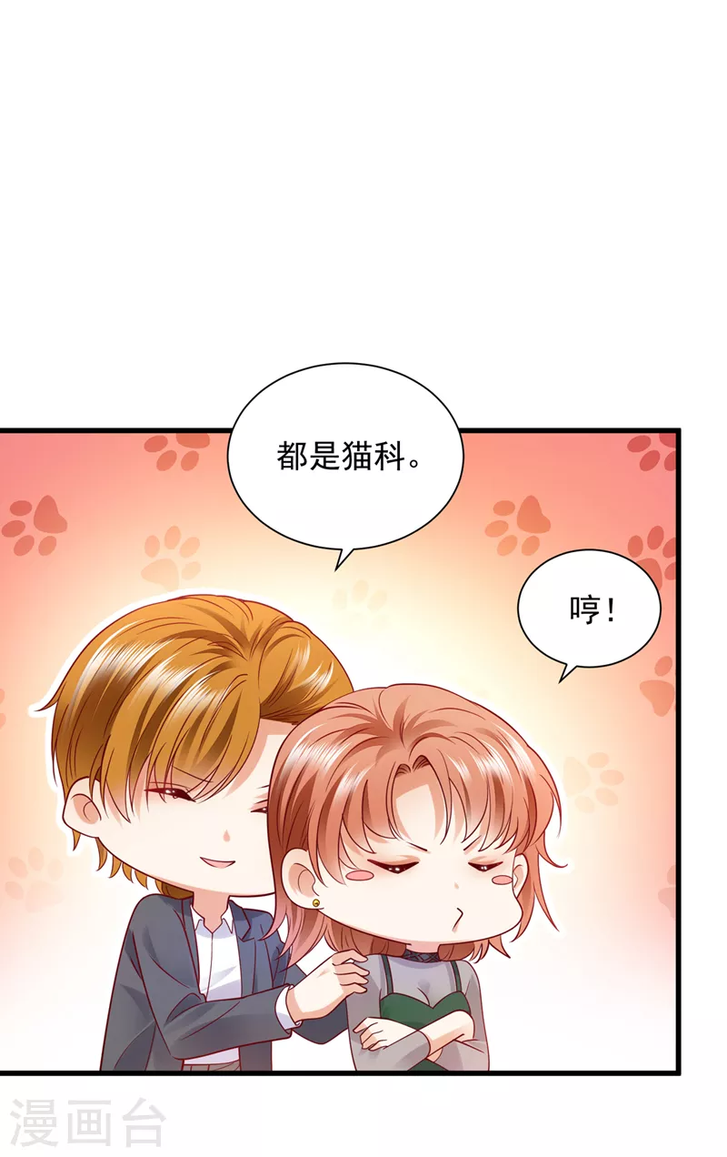 第711话 和我一起养大猫吧？21
