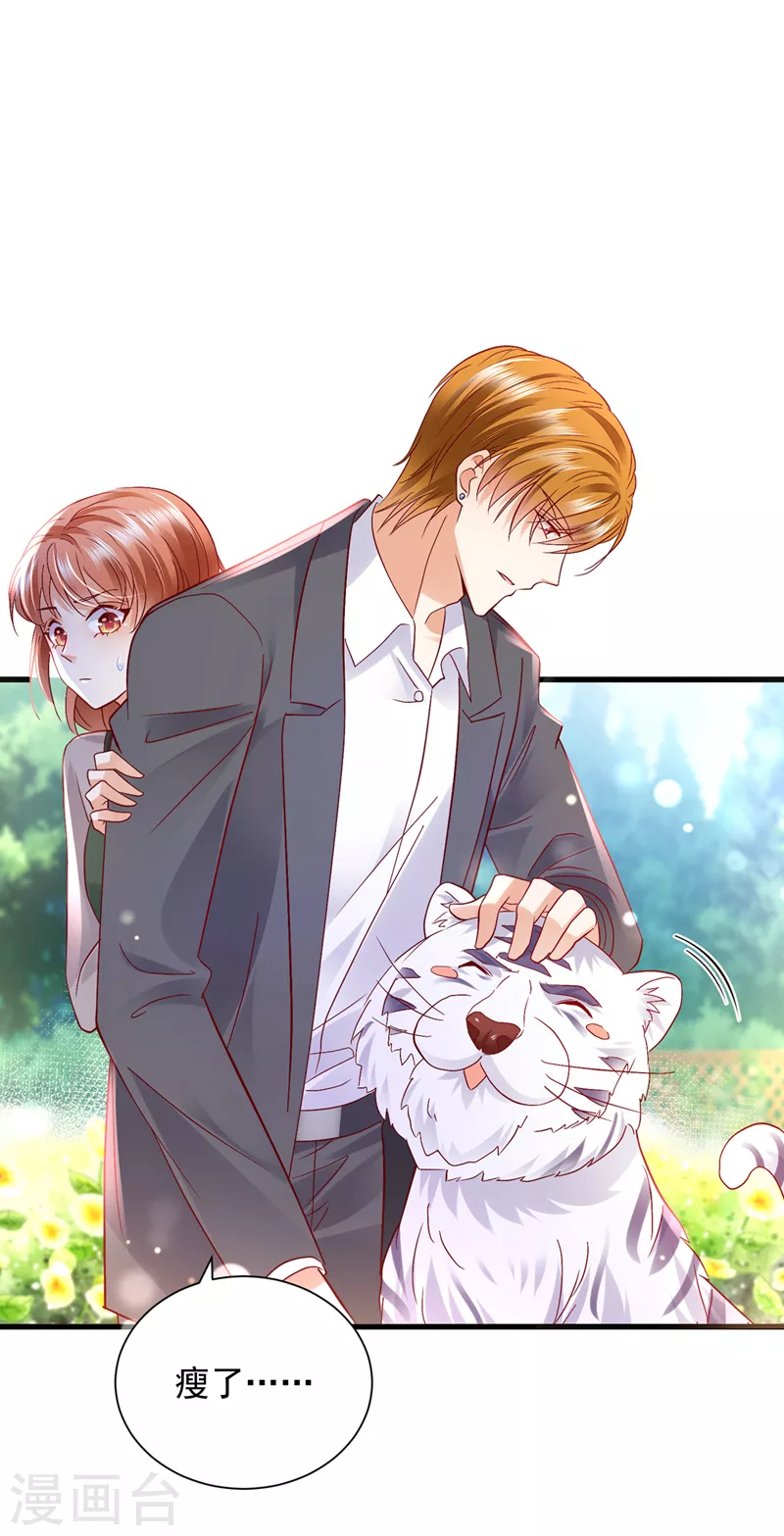 第711话 和我一起养大猫吧？13