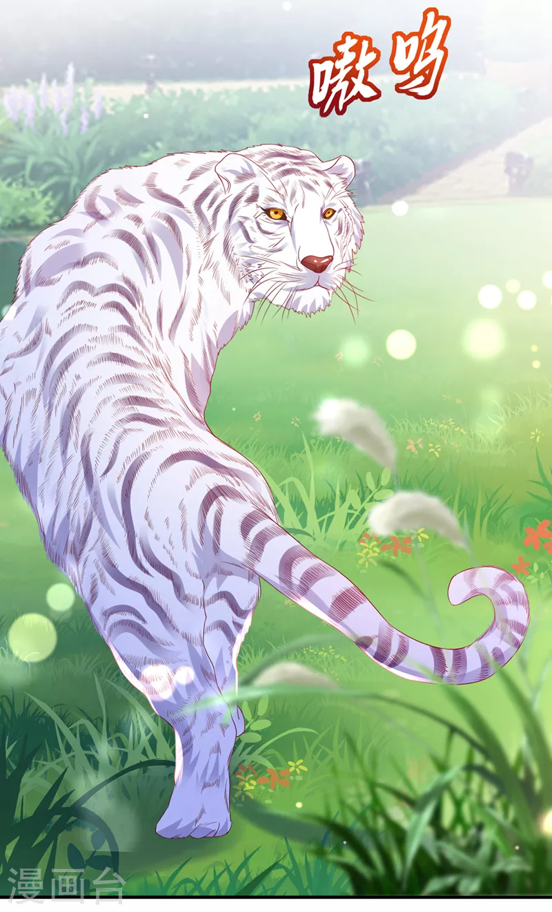第710话 这是……大猫？！30