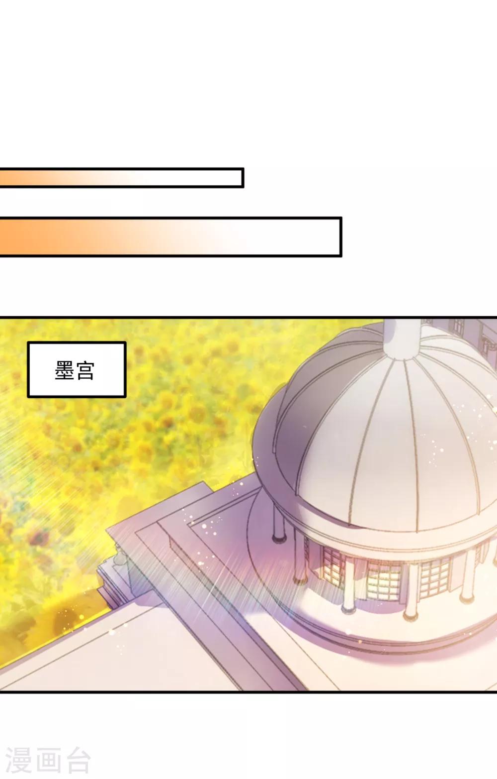 第604话 石头，一起回洛城好吗？10