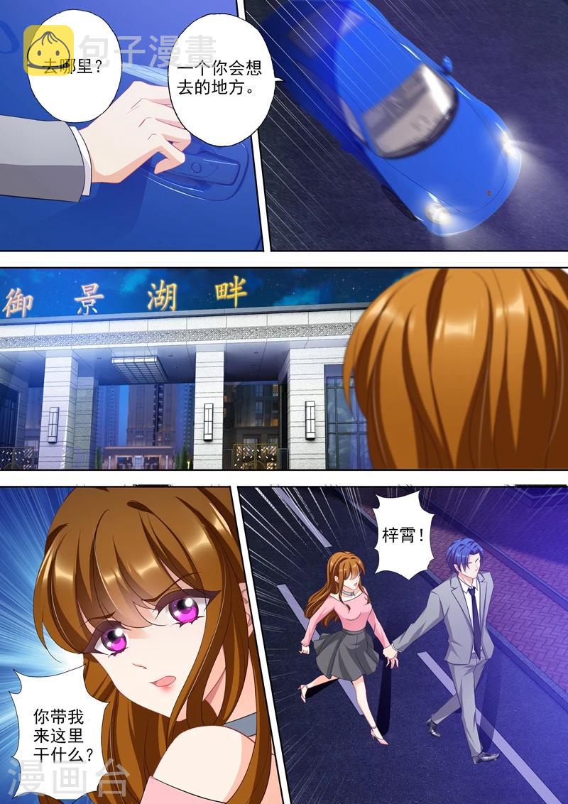 第336话 爲了北辰，遗忘一切？4