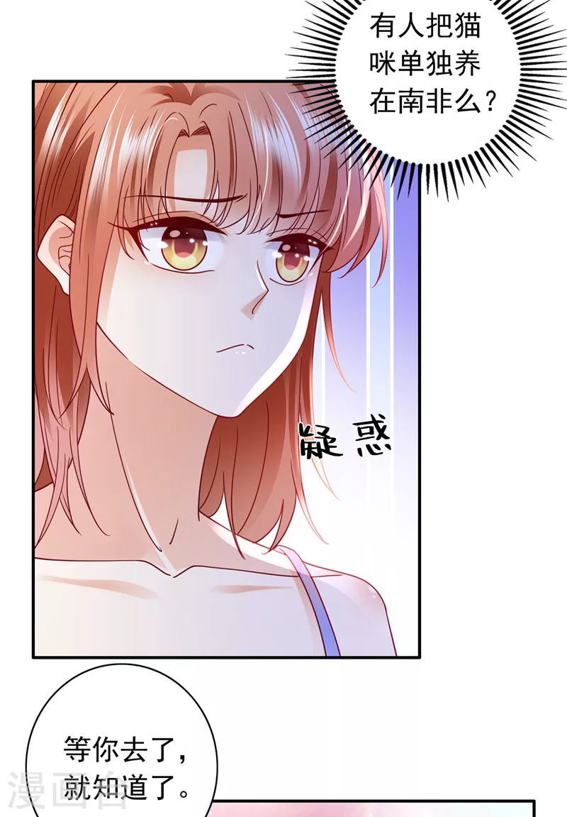 第710话 这是……大猫？！11