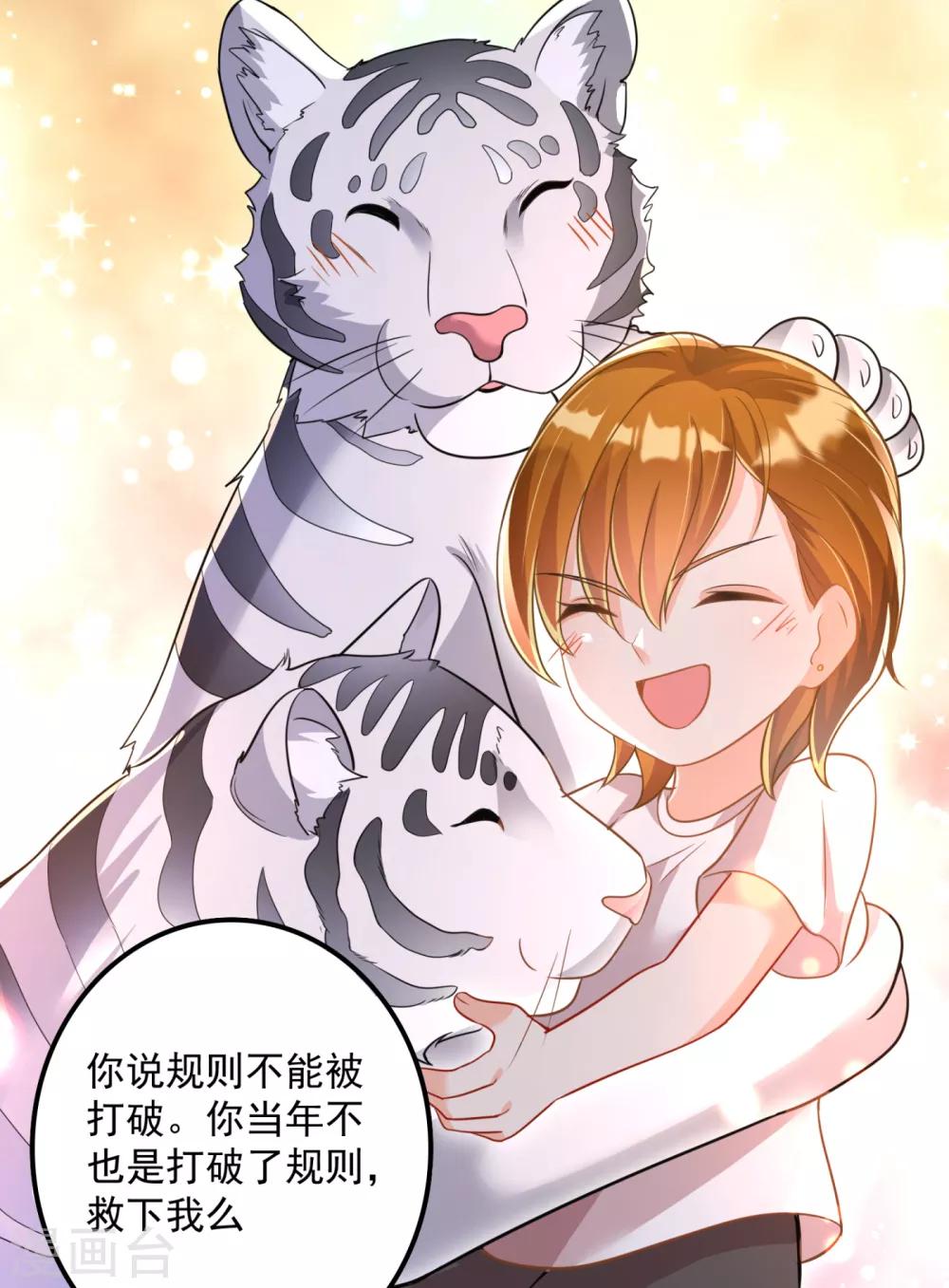 第604话 石头，一起回洛城好吗？25