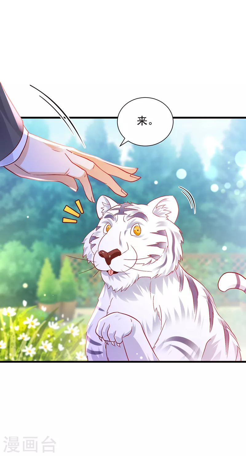 第711话 和我一起养大猫吧？12
