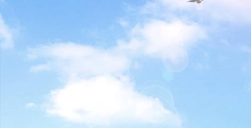 第166话：闭小月VS泰山王4