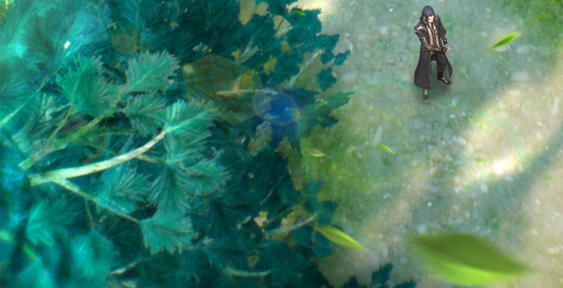 第183话：白泽的计划65